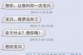 鹤壁为什么选择专业追讨公司来处理您的债务纠纷？